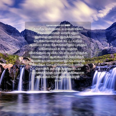 Picture 04 - 1 நாளாகமம் 22:5 TAMIRV - தாவீது: என்னுடைய - Bible Verse Picture