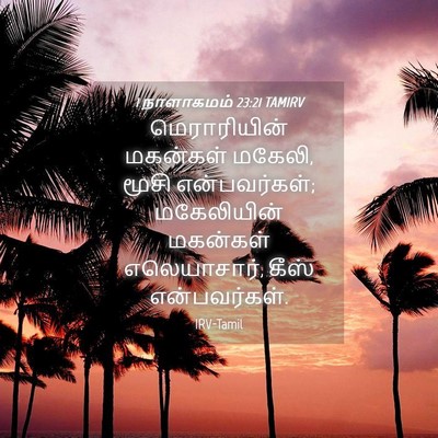 Picture 04 - 1 நாளாகமம் 23:21 TAMIRV - மெராரியின் - Bible Verse Picture