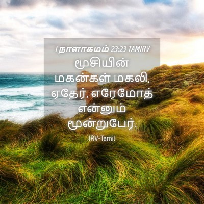 Picture 04 - 1 நாளாகமம் 23:23 TAMIRV - மூசியின் மகன்கள் - Bible Verse Picture
