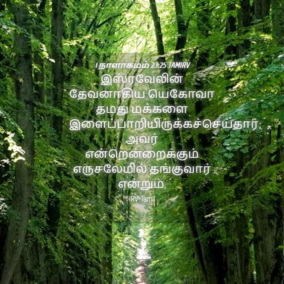Picture 04 - 1 நாளாகமம் 23:25 TAMIRV - இஸ்ரவேலின் - Bible Verse Picture