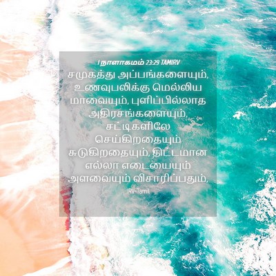 Picture 04 - 1 நாளாகமம் 23:29 TAMIRV - சமுகத்து - Bible Verse Picture