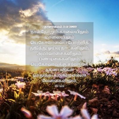 Picture 04 - 1 நாளாகமம் 23:30 TAMIRV - நாள்தோறும் - Bible Verse Picture