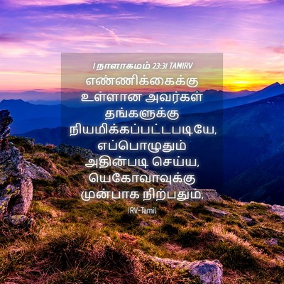 Picture 04 - 1 நாளாகமம் 23:31 TAMIRV - எண்ணிக்கைக்கு - Bible Verse Picture