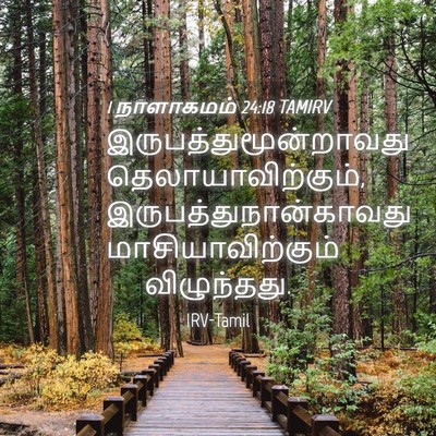 Picture 04 - 1 நாளாகமம் 24:18 TAMIRV -  - Bible Verse Picture