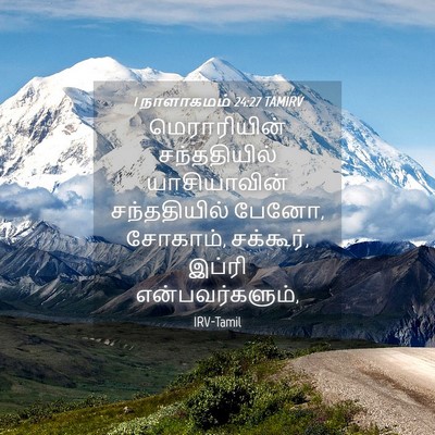 Picture 04 - 1 நாளாகமம் 24:27 TAMIRV - மெராரியின் - Bible Verse Picture