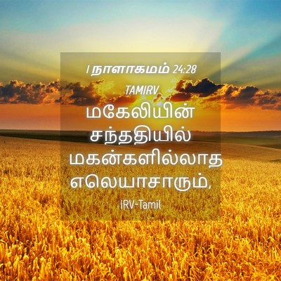 Picture 04 - 1 நாளாகமம் 24:28 TAMIRV - மகேலியின் - Bible Verse Picture