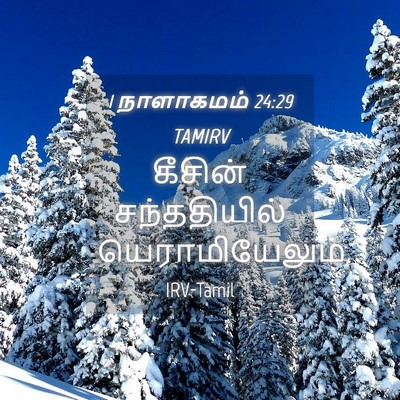 Picture 04 - 1 நாளாகமம் 24:29 TAMIRV - கீசின் சந்ததியில் - Bible Verse Picture