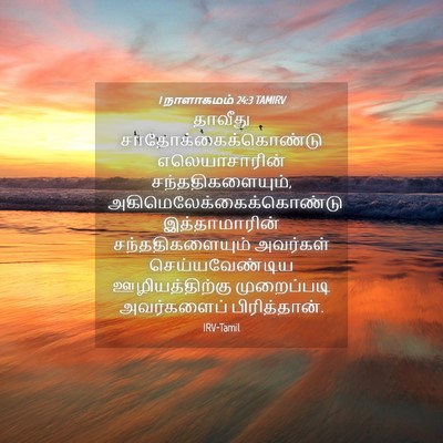 Picture 04 - 1 நாளாகமம் 24:3 TAMIRV - தாவீது - Bible Verse Picture