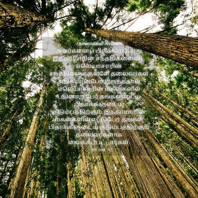 Picture 04 - 1 நாளாகமம் 24:4 TAMIRV - அவர்களைப் - Bible Verse Picture