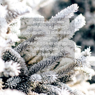 Picture 04 - 1 நாளாகமம் 25:11 TAMIRV - நான்காவது இஸ்ரி, - Bible Verse Picture