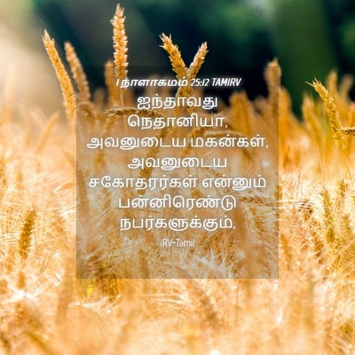 Picture 04 - 1 நாளாகமம் 25:12 TAMIRV - ஐந்தாவது - Bible Verse Picture