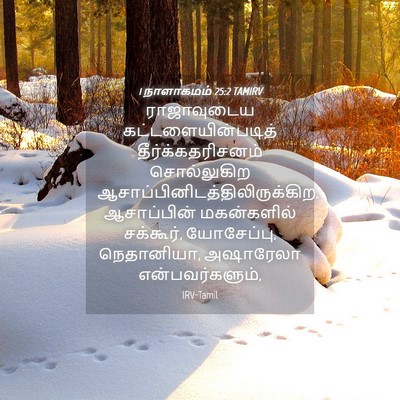 Picture 04 - 1 நாளாகமம் 25:2 TAMIRV - ராஜாவுடைய - Bible Verse Picture