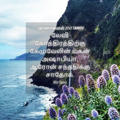 Picture 04 - 1 நாளாகமம் 27:17 TAMIRV - லேவி - Bible Verse Picture