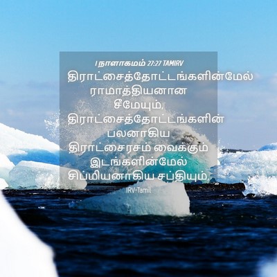 Picture 04 - 1 நாளாகமம் 27:27 TAMIRV -  - Bible Verse Picture