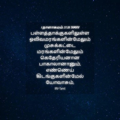Picture 04 - 1 நாளாகமம் 27:28 TAMIRV -  - Bible Verse Picture