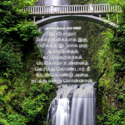 Picture 04 - 1 நாளாகமம் 28:10 TAMIRV - இப்போதும் - Bible Verse Picture