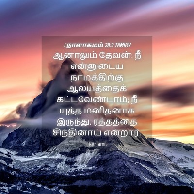 Picture 04 - 1 நாளாகமம் 28:3 TAMIRV - ஆனாலும் தேவன்: நீ - Bible Verse Picture