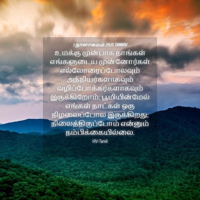 Picture 04 - 1 நாளாகமம் 29:15 TAMIRV - உமக்கு முன்பாக - Bible Verse Picture