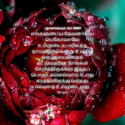 Picture 04 - 1 நாளாகமம் 29:16 TAMIRV - எங்களுடைய - Bible Verse Picture