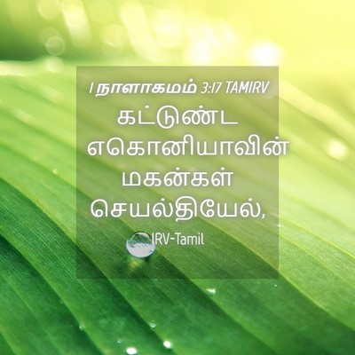 Picture 04 - 1 நாளாகமம் 3:17 TAMIRV - கட்டுண்ட - Bible Verse Picture