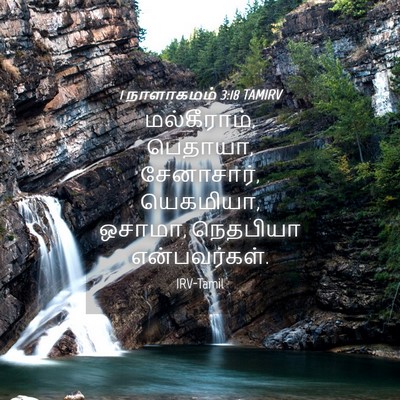 Picture 04 - 1 நாளாகமம் 3:18 TAMIRV - மல்கீராம், பெதாயா, - Bible Verse Picture