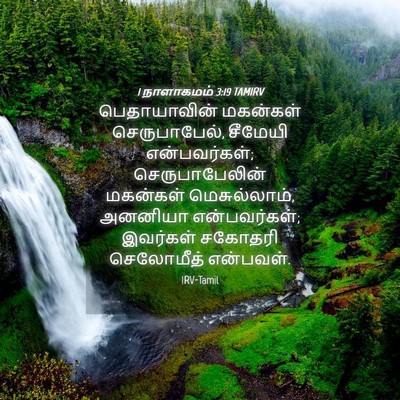 Picture 04 - 1 நாளாகமம் 3:19 TAMIRV - பெதாயாவின் - Bible Verse Picture