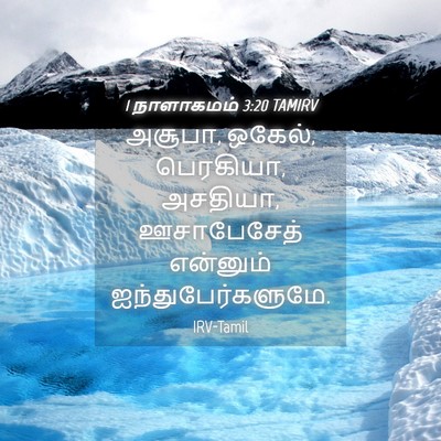 Picture 04 - 1 நாளாகமம் 3:20 TAMIRV - அசூபா, ஒகேல், - Bible Verse Picture