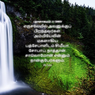 Picture 04 - 1 நாளாகமம் 3:5 TAMIRV - எருசலேமில் - Bible Verse Picture