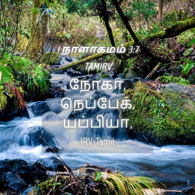 Picture 04 - 1 நாளாகமம் 3:7 TAMIRV - நோகா, நெப்பேக், - Bible Verse Picture