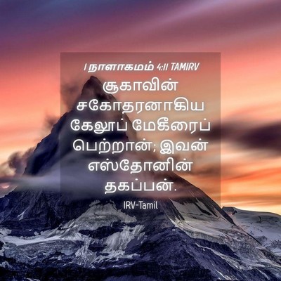 Picture 04 - 1 நாளாகமம் 4:11 TAMIRV - சூகாவின் - Bible Verse Picture