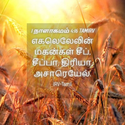 Picture 04 - 1 நாளாகமம் 4:16 TAMIRV - எகலெலேலின் - Bible Verse Picture