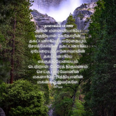 Picture 04 - 1 நாளாகமம் 4:18 TAMIRV - அவன் மனைவியாகிய - Bible Verse Picture