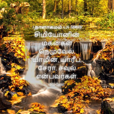 Picture 04 - 1 நாளாகமம் 4:24 TAMIRV - சிமியோனின் - Bible Verse Picture