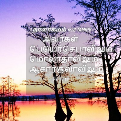 Picture 04 - 1 நாளாகமம் 4:28 TAMIRV - அவர்கள் - Bible Verse Picture