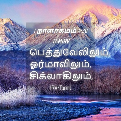 Picture 04 - 1 நாளாகமம் 4:30 TAMIRV - பெத்துவேலிலும், - Bible Verse Picture