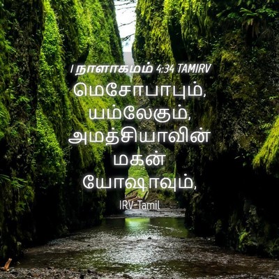 Picture 04 - 1 நாளாகமம் 4:34 TAMIRV - மெசோபாபும், - Bible Verse Picture