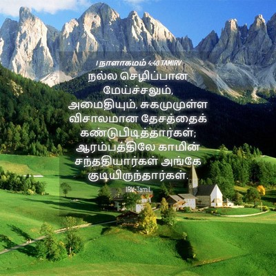 Picture 04 - 1 நாளாகமம் 4:40 TAMIRV - நல்ல செழிப்பான - Bible Verse Picture
