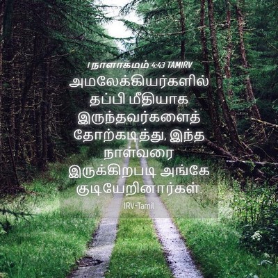 Picture 04 - 1 நாளாகமம் 4:43 TAMIRV - அமலேக்கியர்களில் - Bible Verse Picture