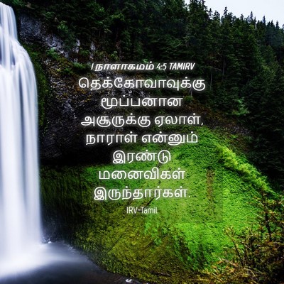 Picture 04 - 1 நாளாகமம் 4:5 TAMIRV - தெக்கோவாவுக்கு - Bible Verse Picture