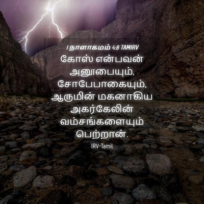Picture 04 - 1 நாளாகமம் 4:8 TAMIRV - கோஸ் என்பவன் - Bible Verse Picture