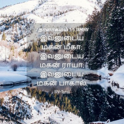 Picture 04 - 1 நாளாகமம் 5:5 TAMIRV - இவனுடைய மகன் மீகா; - Bible Verse Picture