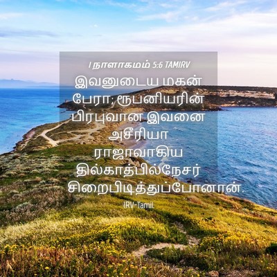 Picture 04 - 1 நாளாகமம் 5:6 TAMIRV - இவனுடைய மகன் பேரா; - Bible Verse Picture
