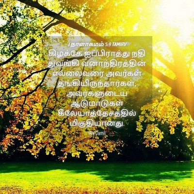 Picture 04 - 1 நாளாகமம் 5:9 TAMIRV - கிழக்கே - Bible Verse Picture