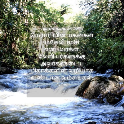 Picture 04 - 1 நாளாகமம் 6:19 TAMIRV - மெராரியின் - Bible Verse Picture
