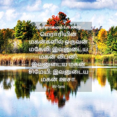 Picture 04 - 1 நாளாகமம் 6:29 TAMIRV - மெராரியின் - Bible Verse Picture