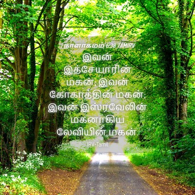 Picture 04 - 1 நாளாகமம் 6:38 TAMIRV - இவன் இத்சேயாரின் - Bible Verse Picture