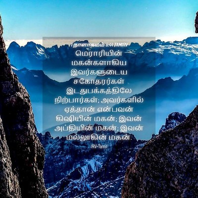 Picture 04 - 1 நாளாகமம் 6:44 TAMIRV - மெராரியின் - Bible Verse Picture