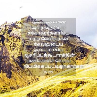 Picture 04 - 1 நாளாகமம் 6:48 TAMIRV - அவர்களுடைய - Bible Verse Picture