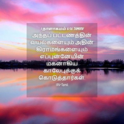 Picture 04 - 1 நாளாகமம் 6:56 TAMIRV - அந்தப் - Bible Verse Picture