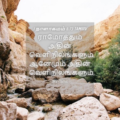 Picture 04 - 1 நாளாகமம் 6:73 TAMIRV - ராமோத்தும் அதின் - Bible Verse Picture